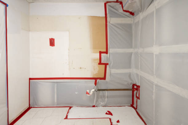 Best Black Mold Removal  in Hoer, OK